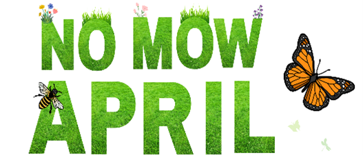 No Mow April 2024