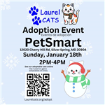 Laurel Cats Adoption