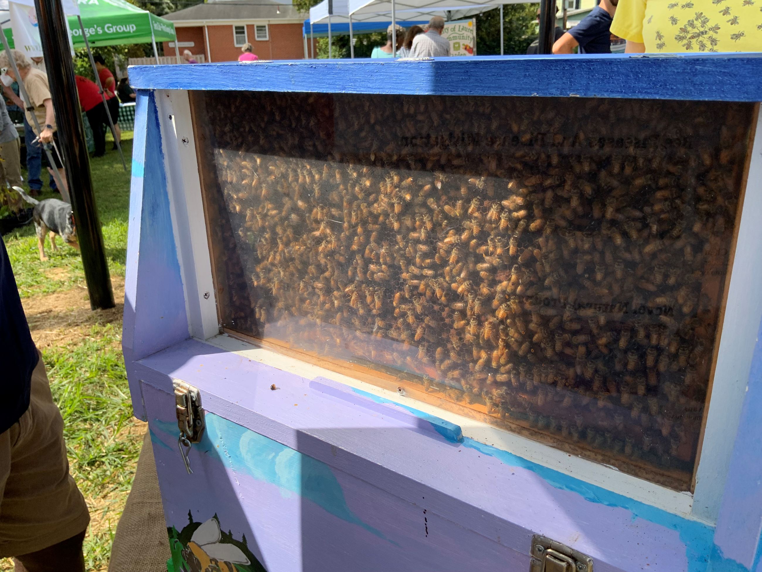 Sustainable Saturday 2022