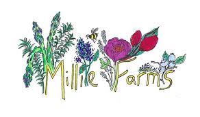 Millie Farms