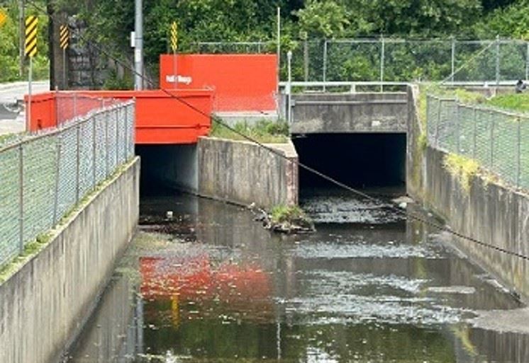 AWARE Flood Monitor at Crow and Bear Branch