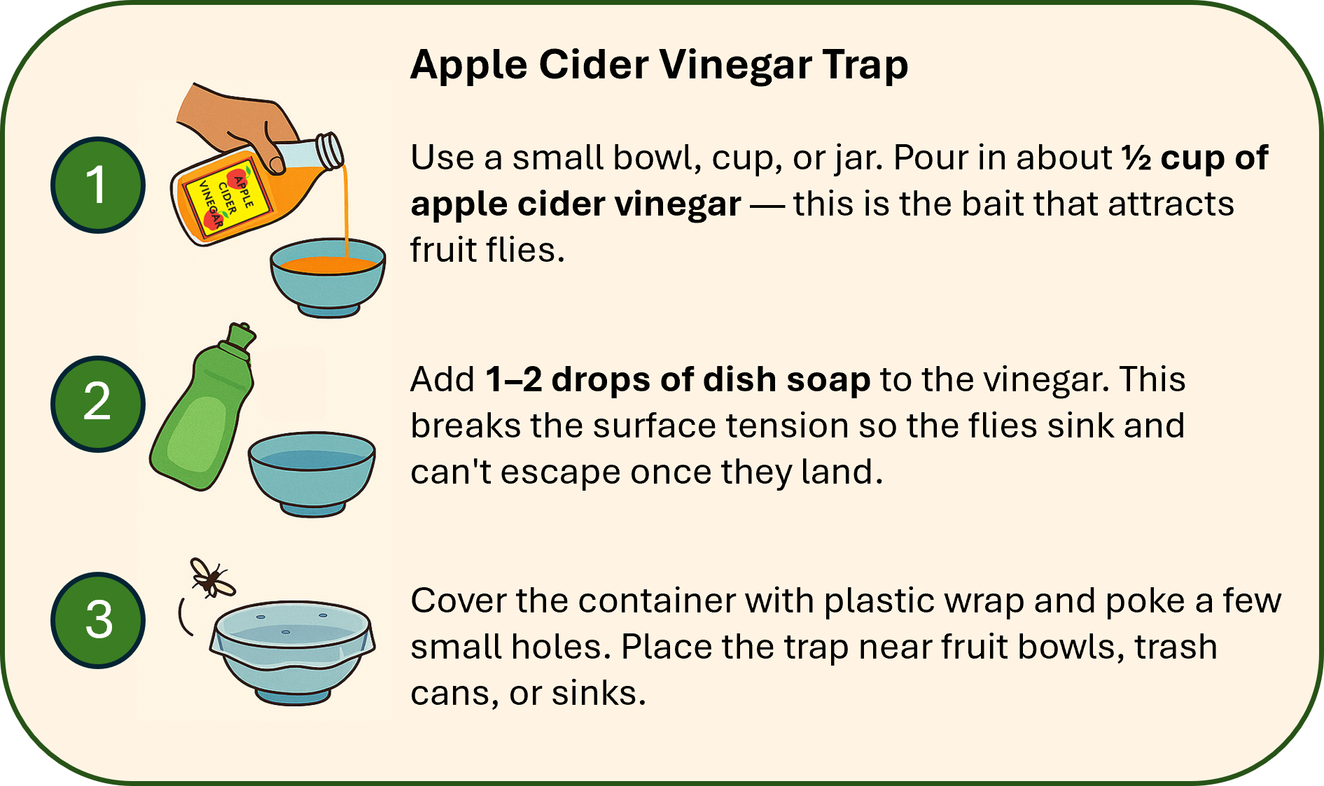Vinegar_Infographic