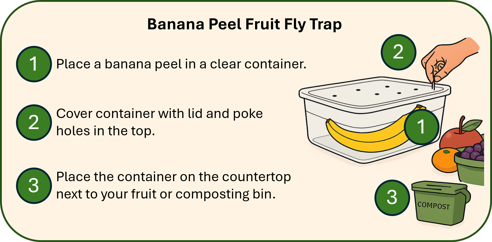 Banana_Peel_Infographic