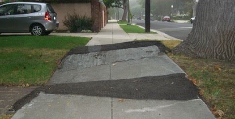 Broken Sidewalk